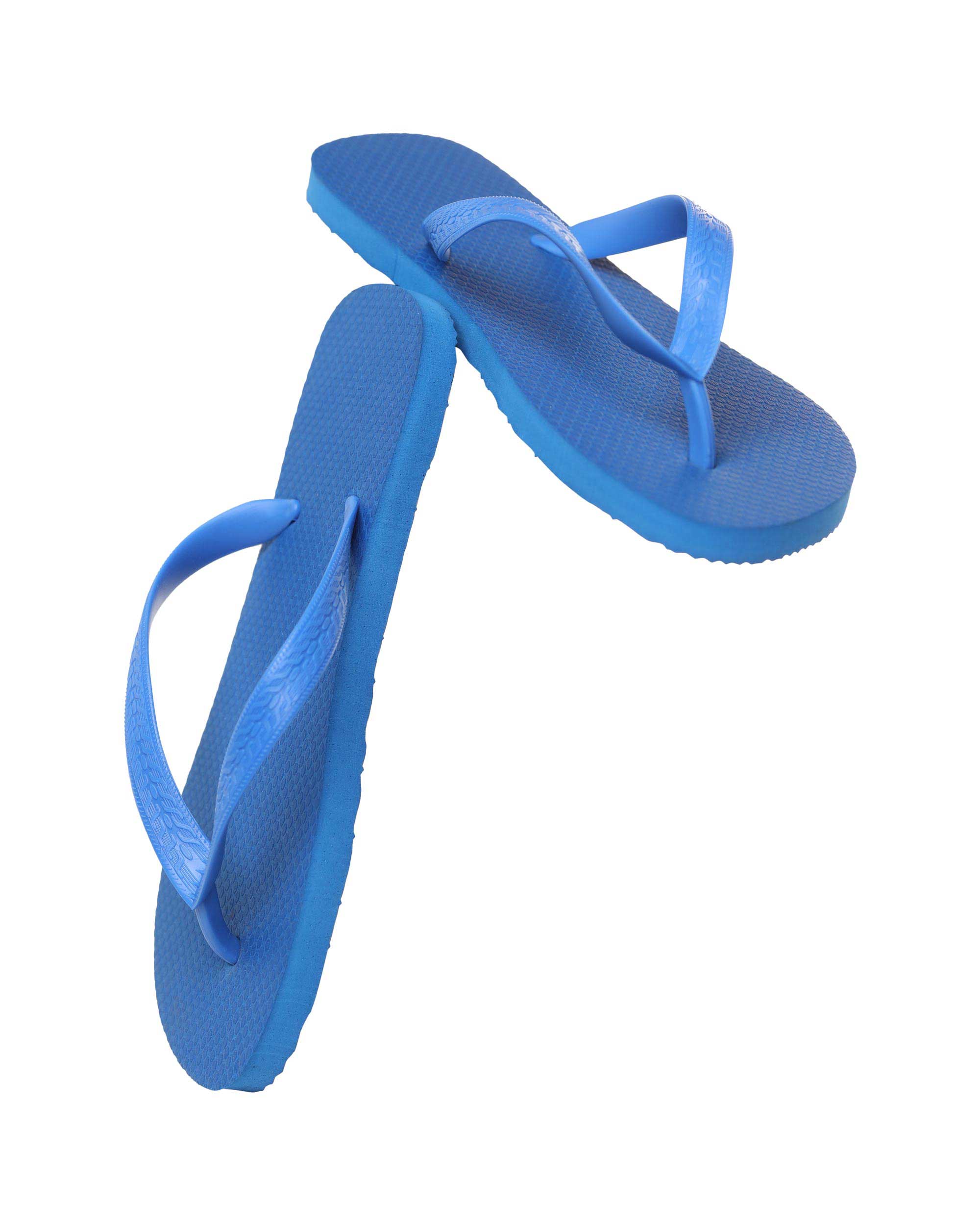 Blue Flip Flop